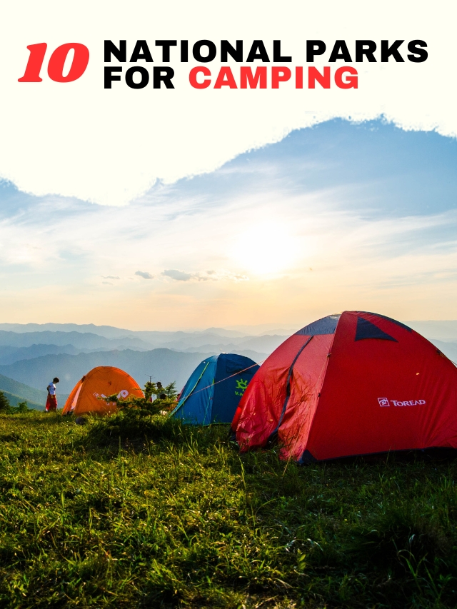 10 National Parks Ideal for Camping in India This Winter
