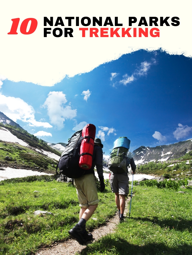 National Parks for Trekking Enthusiasts in India During Monsoon
